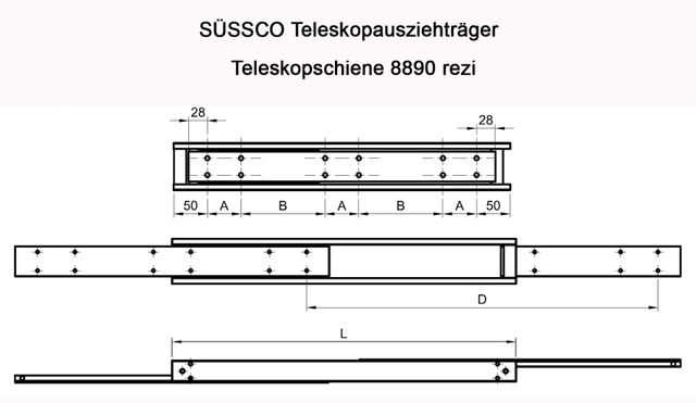 Süssco GmbH & Co. KG Regalsysteme Schwerlast-Teleskopschiene 8890 rezi 02